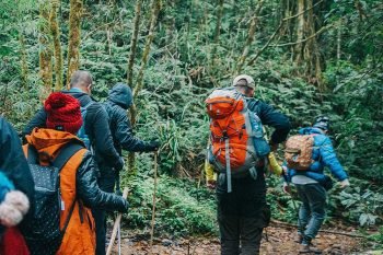 2 Days 1 Night - Hike Fansipan mountain from Sapa