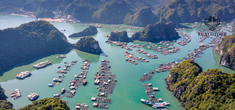 Aerial view of floating fishing village in Ha Long Bay with green waters and limestone islands