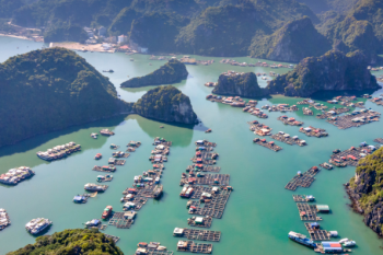 Aerial view of floating fishing village in Ha Long Bay with green waters and limestone islands