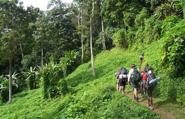 Hikers exploring the lush trails of Ba Vi Mountain, showcasing the natural beauty and adventure opportunities in Vietnam.