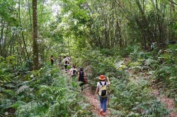 Group of hikers trekking through the lush forest of Ba Vi Mountain, showcasing Vietnam's natural beauty and adventure.