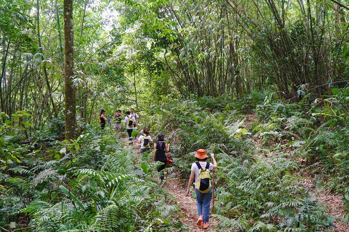 Group of hikers trekking through the lush forest of Ba Vi Mountain, showcasing Vietnam's natural beauty and adventure.