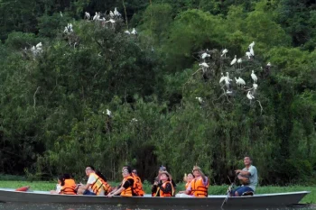 Tourists on a boat watching birds in flight at Thung Nham, showcasing Vietnam's natural beauty and wildlife.