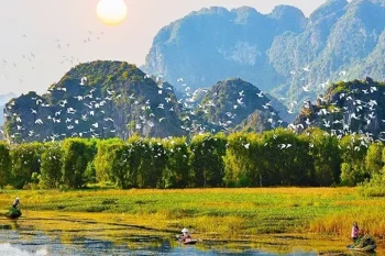 Birds flying over Van Long Natural Reserve, showcasing the area's rich biodiversity and natural beauty.