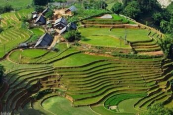 Tour Hà Nội - Sapa 3 Ngày 2 Đêm – Cát Cát - Lao Chải - Tả Van - Fansipan